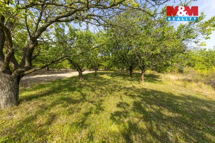 Prodej pole, Židlochovice, 4295 m2