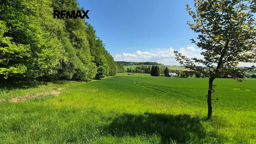 Prodej pozemku pro bydlení, Borová, 5776 m2