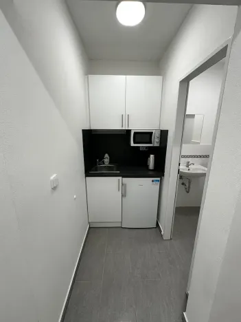 Pronájem komerčního pozemku, Malotice, 350 m2