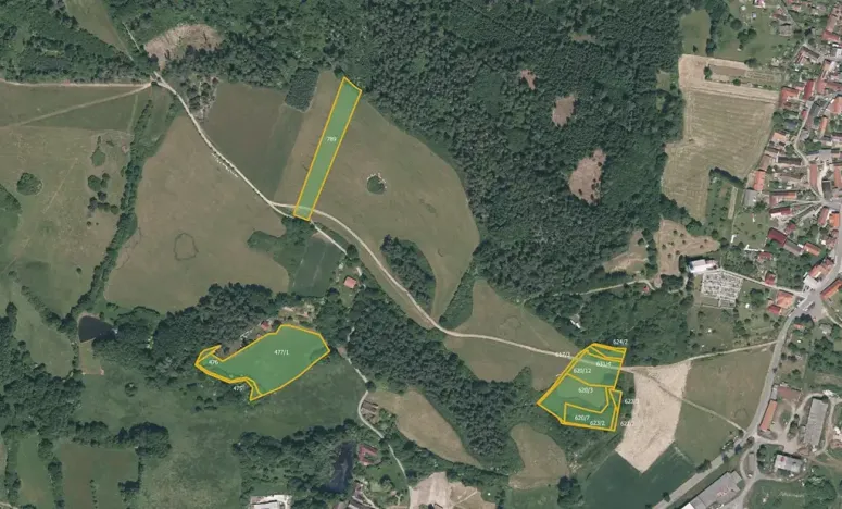 Prodej louky, Pačejov, 13638 m2