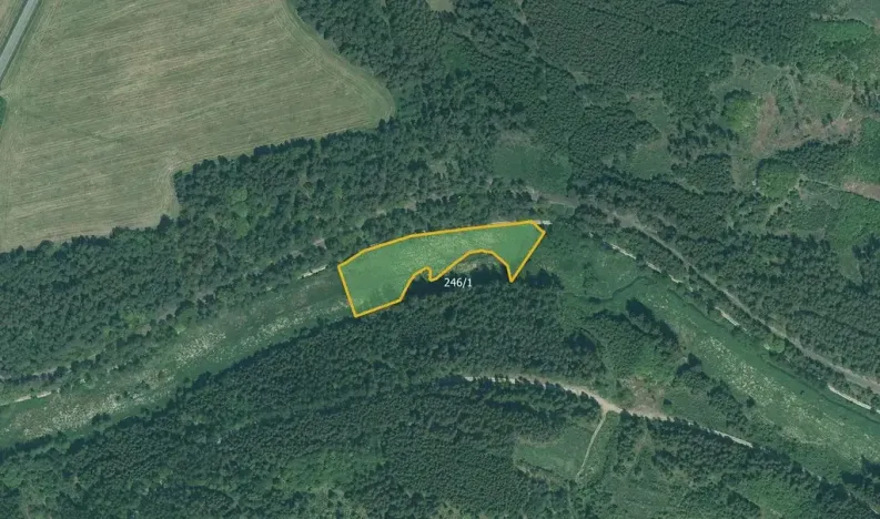 Prodej pole, Bor, 28170 m2