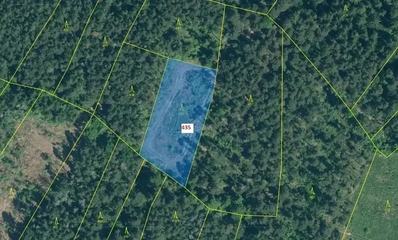 Dražba lesa, Dražovice, 2482 m2