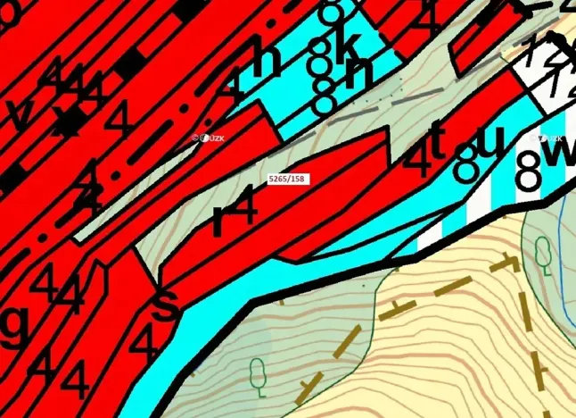 Dražba lesa, Strání, 1065 m2