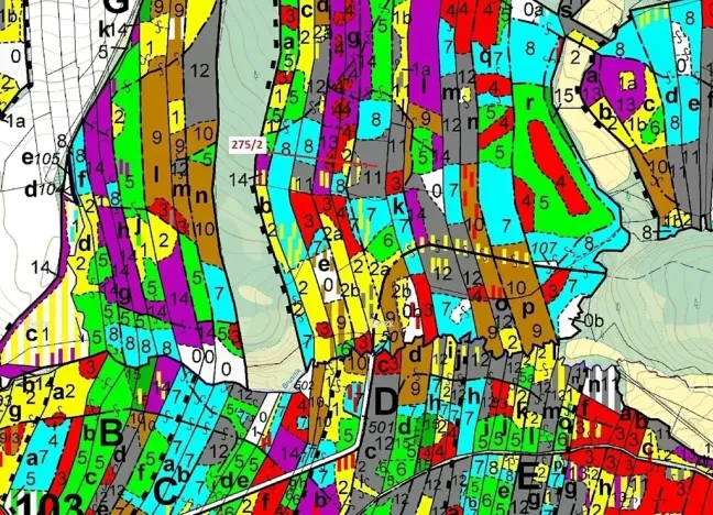 Dražba lesa, Psárov, 4568 m2