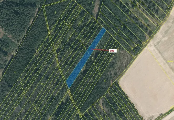 Dražba lesa, Komárov, 3832 m2