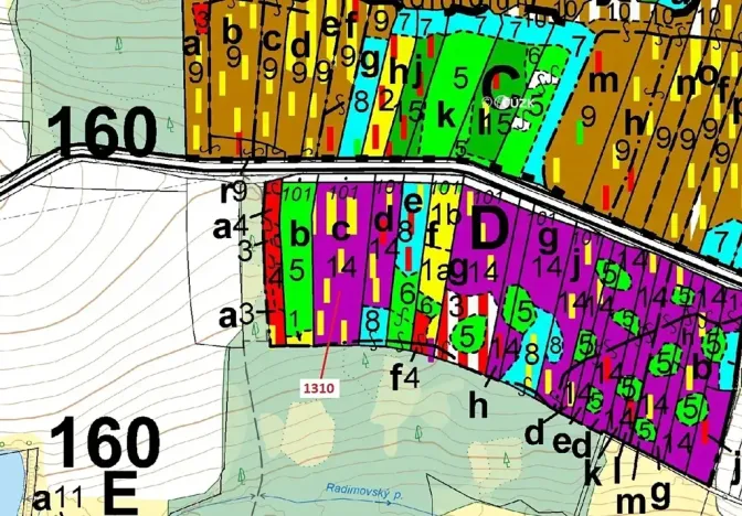 Dražba lesa, Skalice, 7441 m2