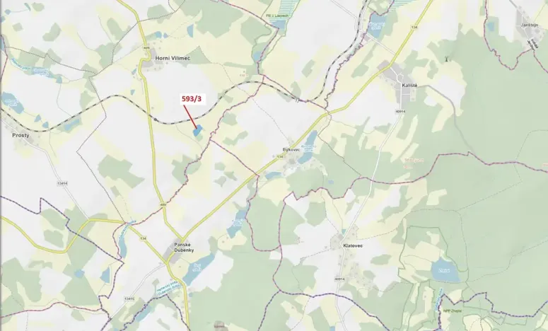 Dražba lesa, Počátky, 9119 m2