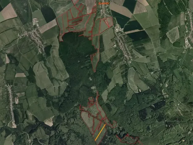 Dražba louky, Slavkov, 8978 m2