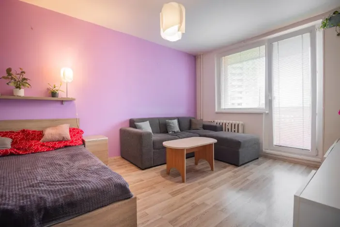 Prodej bytu 1+1, Olomouc - Nová Ulice, Hraniční, 34 m2