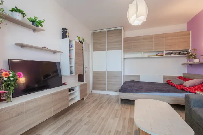 Prodej bytu 1+1, Olomouc - Nová Ulice, Hraniční, 34 m2