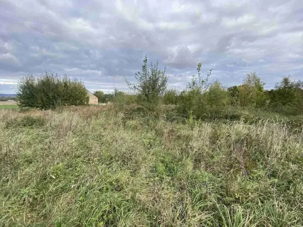 Prodej pozemku, Javorník - Horní Hoštice, 1651 m2