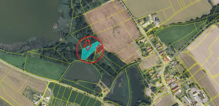 Prodej podílu lesa, Vračovice-Orlov, 2036 m2