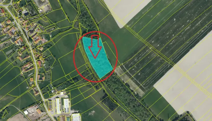 Prodej podílu lesa, Řepníky, 4901 m2