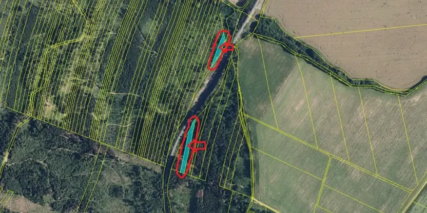 Prodej podílu lesa, Nová Hradečná, 2498 m2