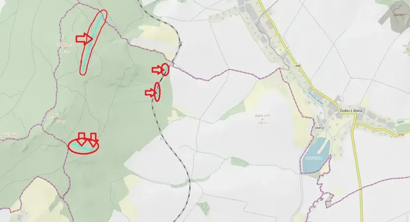 Prodej podílu lesa, Nová Hradečná, 2498 m2