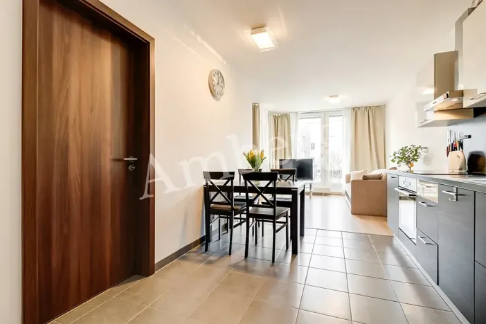 Prodej bytu 2+kk, Praha - Žižkov, Na Vackově, 53 m2