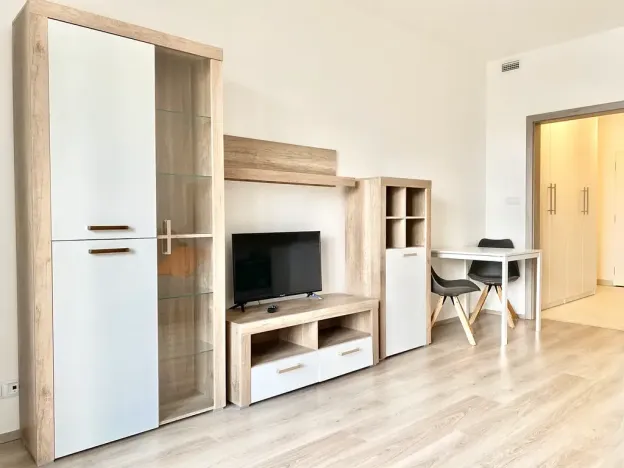 Pronájem bytu 1+kk, Praha - Vršovice, Petrohradská, 30 m2