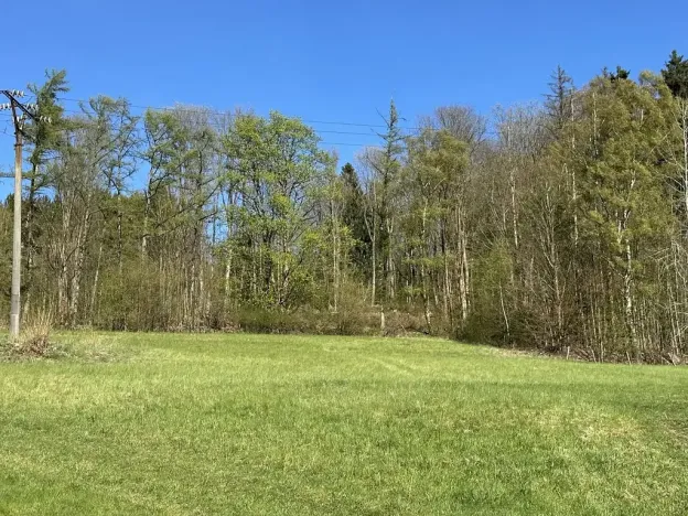 Prodej lesa, Loužnice, 5723 m2