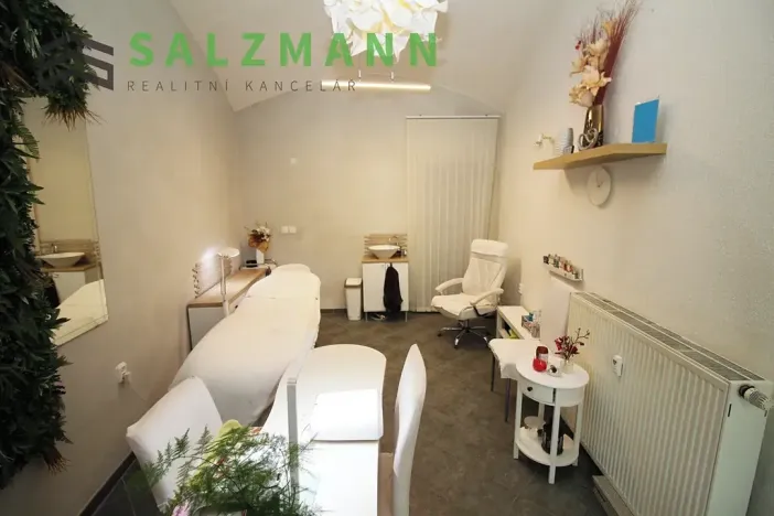 Pronájem obchodního prostoru, Plzeň, Bezručova, 15 m2