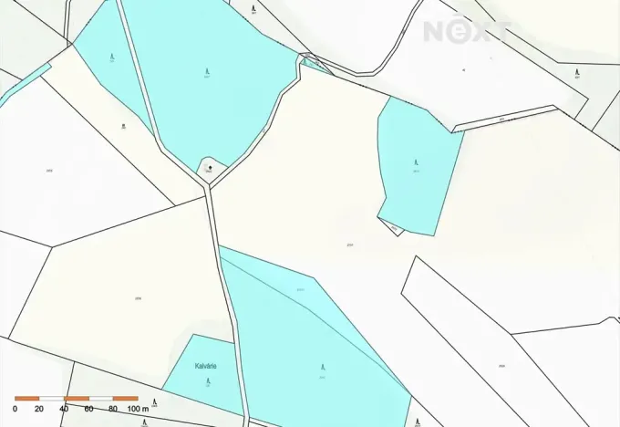 Prodej lesa, Věž, 41070 m2