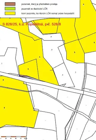 Prodej lesa, Červená Řečice, 214 m2