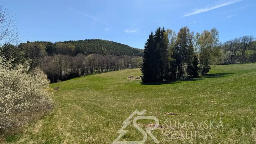 Prodej pozemku, Hartmanice - Chlum, 46489 m2