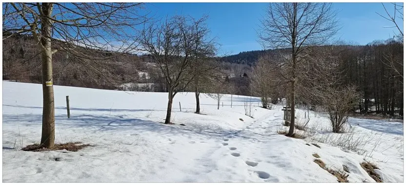 Prodej pozemku pro bydlení, Bartošovice v Orlických horách, 1050 m2
