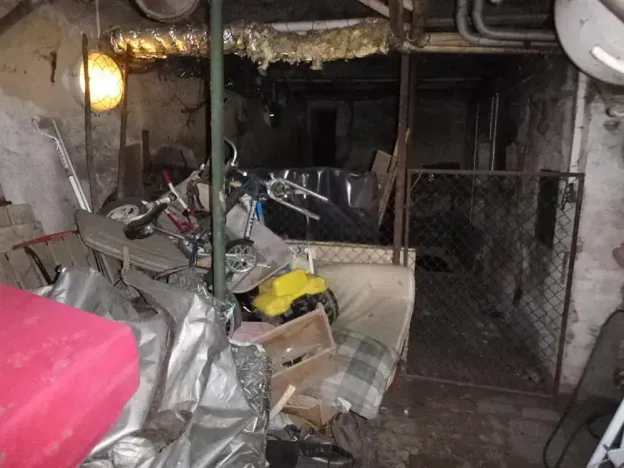 Dražba rodinného domu, Bušovice, 722 m2