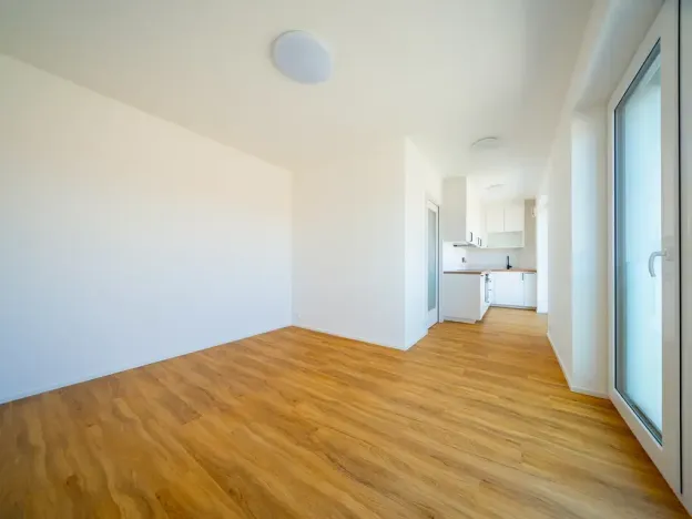 Pronájem bytu 1+kk, Brno, U zoologické zahrady, 29 m2