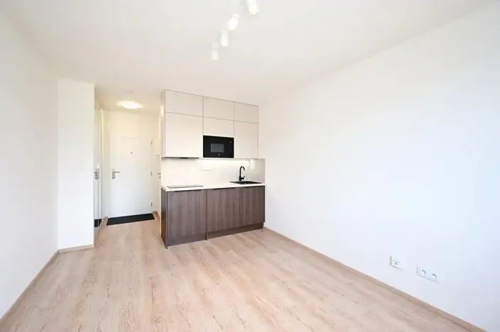 Pronájem bytu 1+kk, Praha - Vršovice, Kubánské náměstí, 19 m2