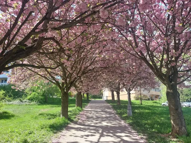 Pronájem bytu 2+1, Brno, Výletní, 53 m2