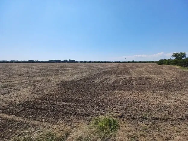 Prodej pozemku pro bydlení, Horka nad Moravou, 43000 m2