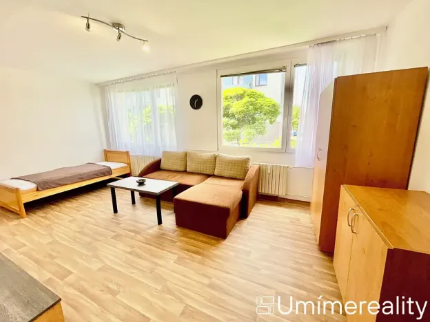 Pronájem bytu 1+1, Mladá Boleslav, Zalužanská, 42 m2