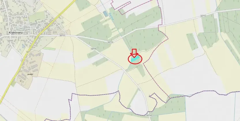 Prodej lesa, Krakovany, 3138 m2