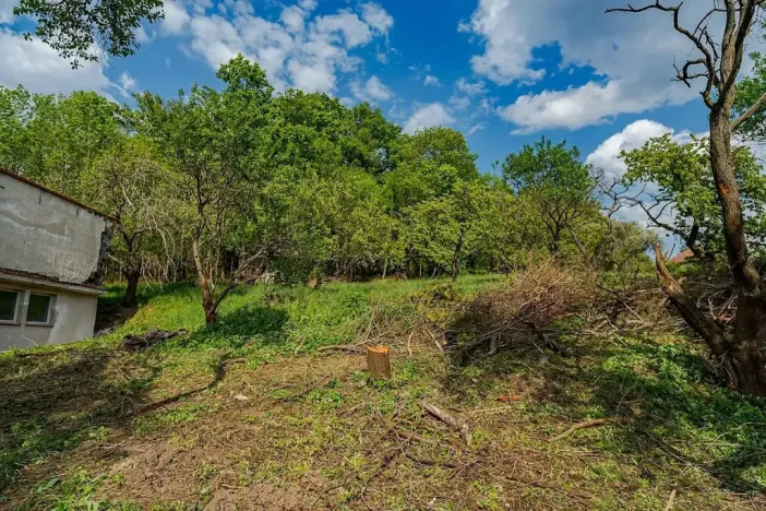 Prodej pozemku pro bydlení, Veliny, 1236 m2