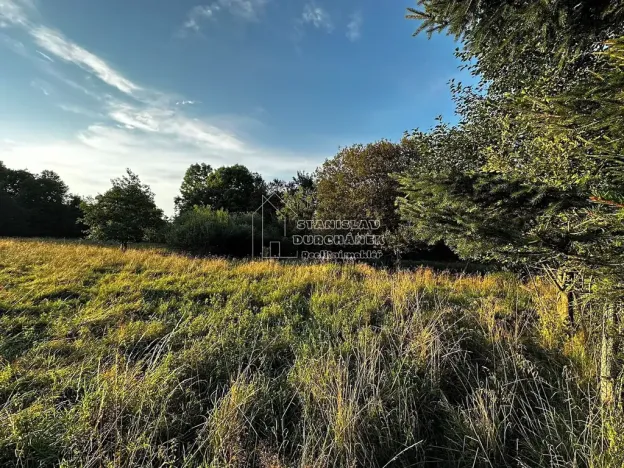 Prodej pozemku pro bydlení, Nová Ves, 4929 m2