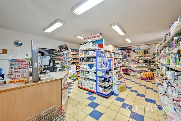 Prodej rodinného domu, Kamenice nad Lipou, Dobšova, 270 m2