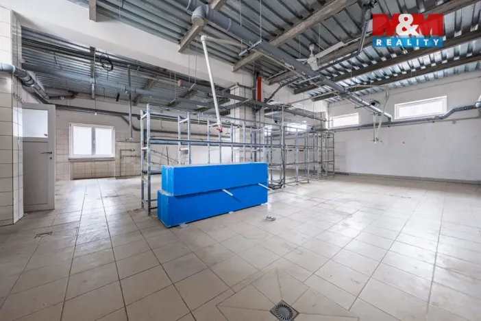 Pronájem obchodního prostoru, Příbram - Příbram VI-Březové Hory, K Podlesí, 326 m2