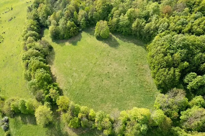 Prodej louky, Děčín, 27274 m2