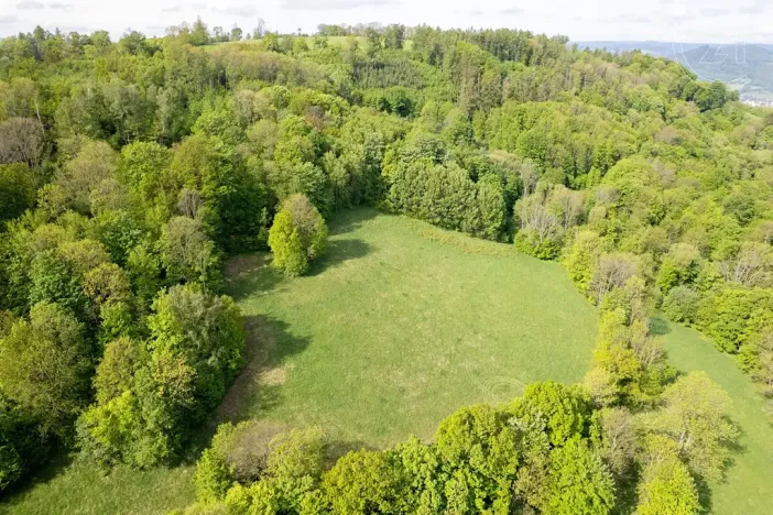 Prodej louky, Děčín, 27274 m2