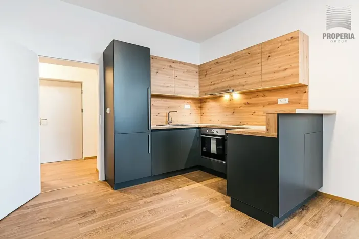 Pronájem bytu 2+kk, Brno, Stavební, 56 m2
