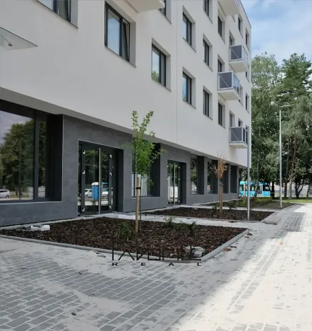 Pronájem bytu 2+kk, Ostrava, Pavlovova, 42 m2