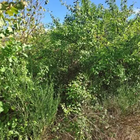 Prodej pozemku, Hlince, 192 m2