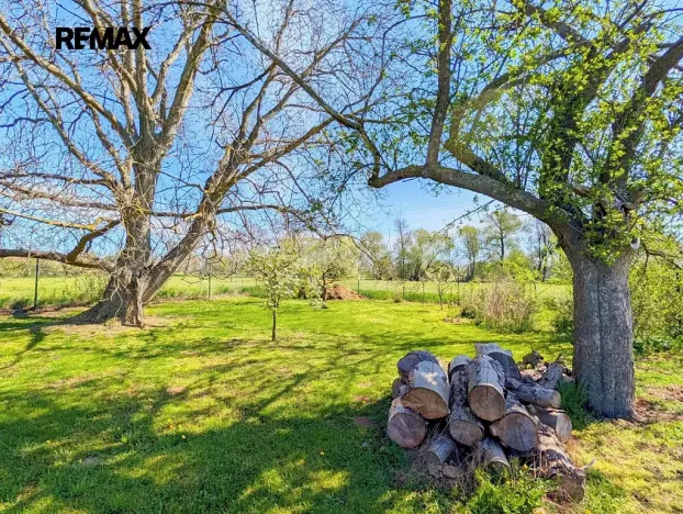 Prodej zahrady, Tuněchody, 1715 m2