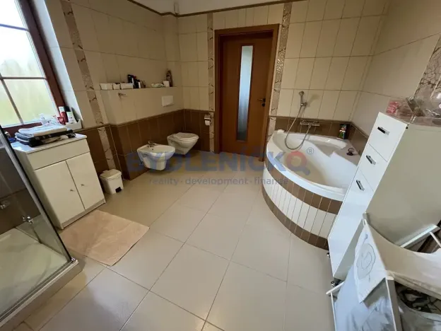 Pronájem rodinného domu, Litvínovice, Mokré - Jih, 174 m2