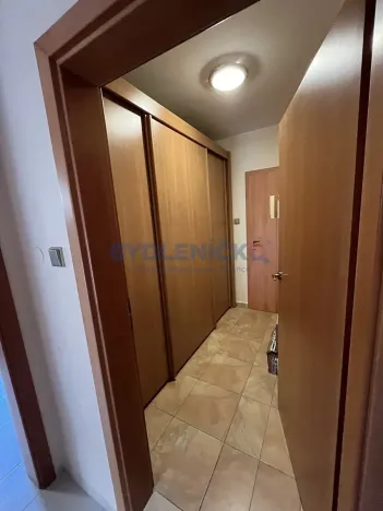 Pronájem rodinného domu, Litvínovice, Mokré - Jih, 174 m2