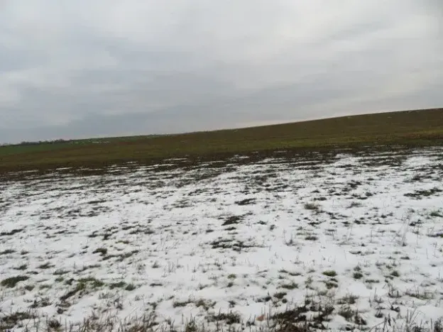 Dražba louky, Račice nad Trotinou, 18528 m2