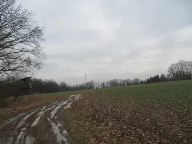 Dražba louky, Račice nad Trotinou, 18528 m2