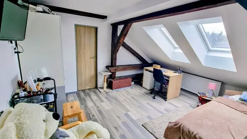 Pronájem bytu 3+1, Jihlava, Mlýnská, 135 m2