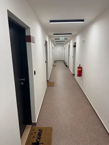 Pronájem bytu 1+kk, Brno, Koliště, 25 m2